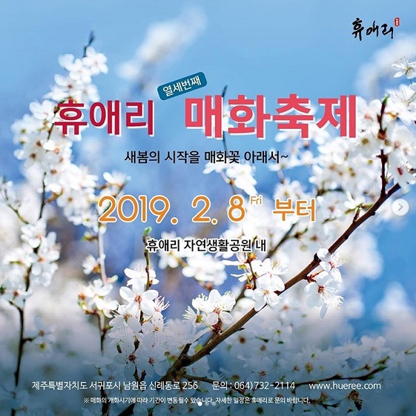 휴애리 매화축제 기념 리그램 이벤트 타이틀이미지