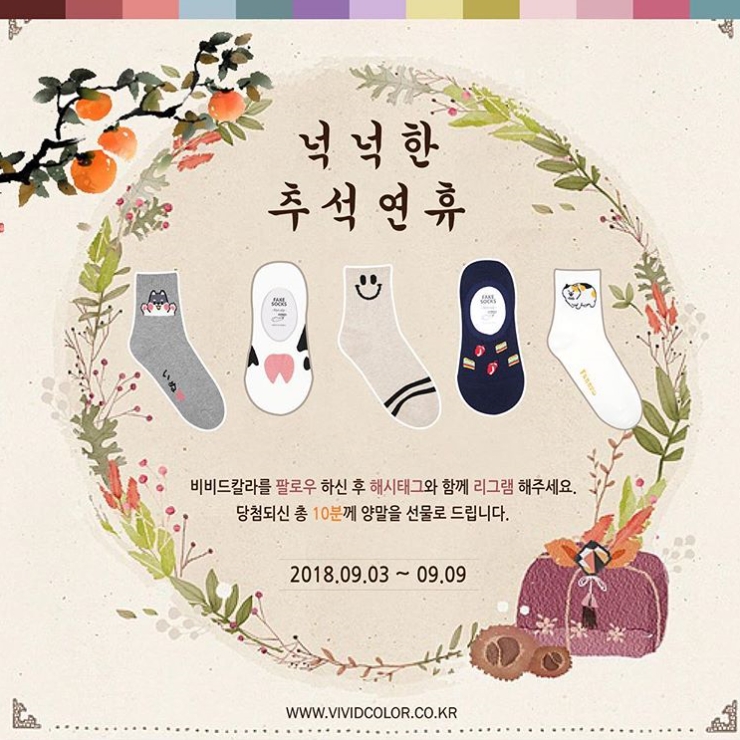비비드칼라 추석연휴 이벤트 타이틀이미지