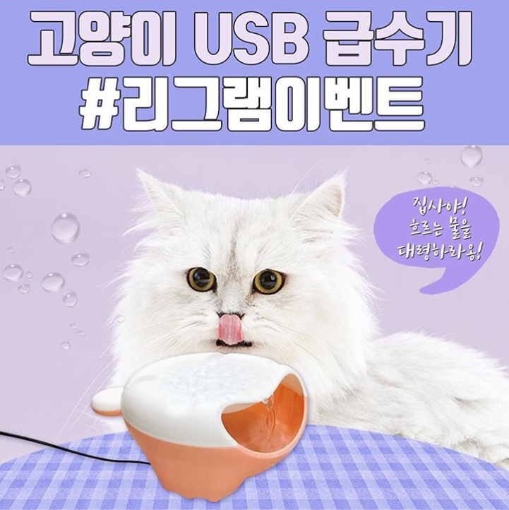 고양이 USB 급수기 리그램 이벤트 타이틀이미지