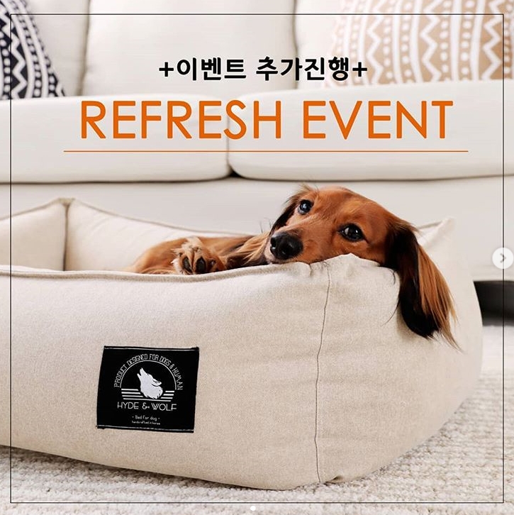 2018 뉴 범퍼베드 리그램 이벤트 타이틀이미지