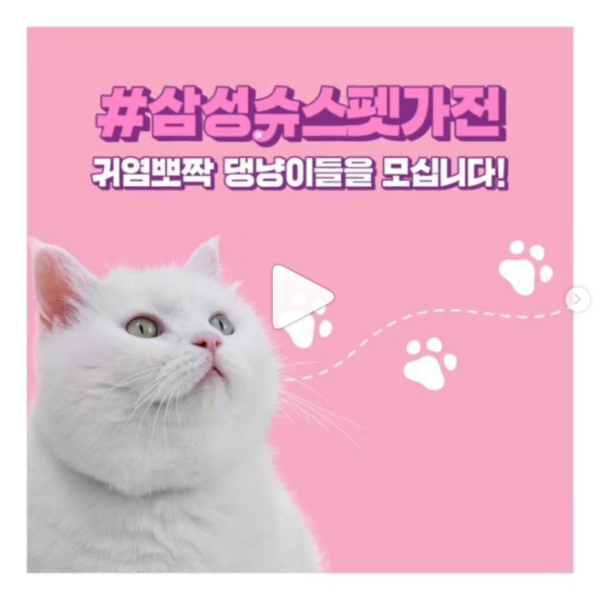 삼성슈스펫가전 귀염뽀짝 댕냥이 슈스펫 모집 이벤트 타이틀이미지