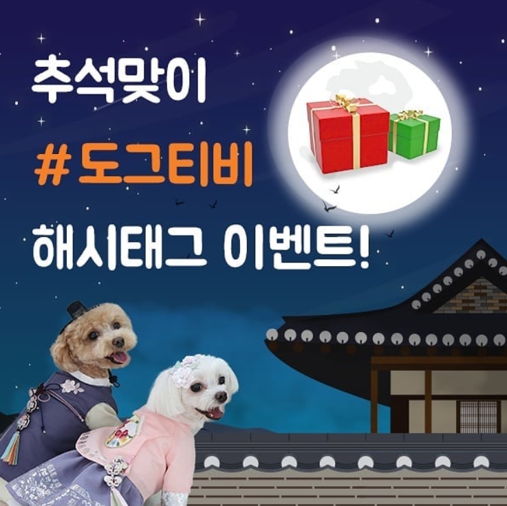 추석맞이 도그티비 해시태그 이벤트 타이틀이미지