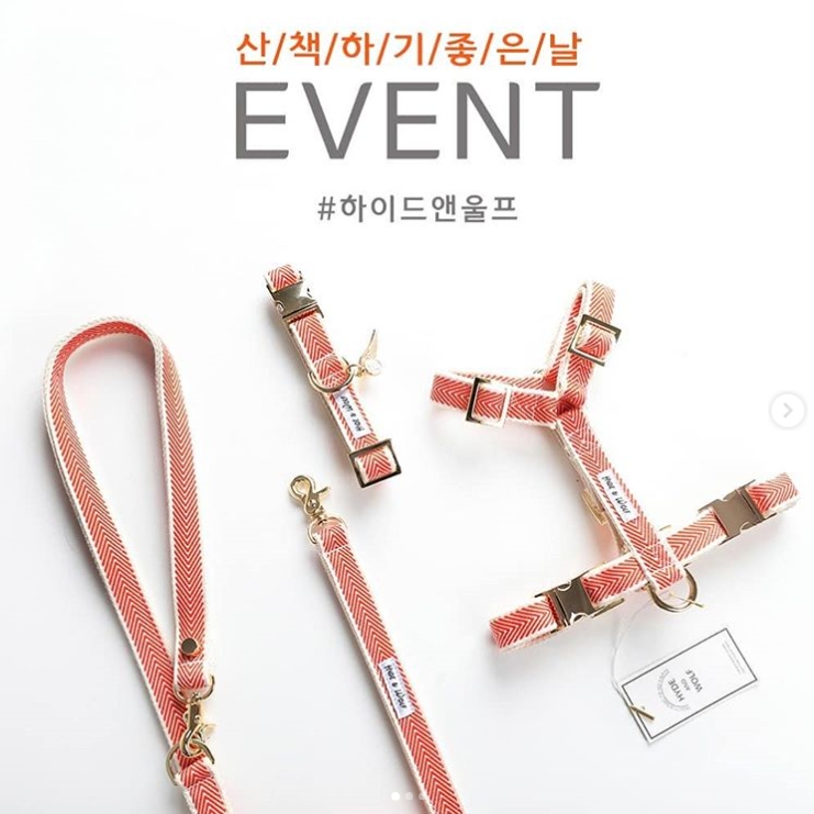 산책하기 좋은날 이벤트 타이틀이미지