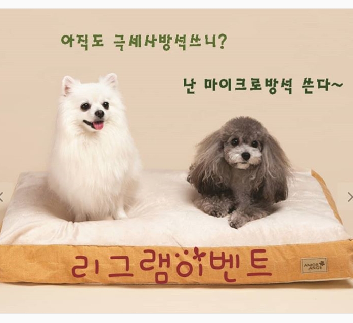 아모르앙쥬 리그램 이벤트 타이틀이미지