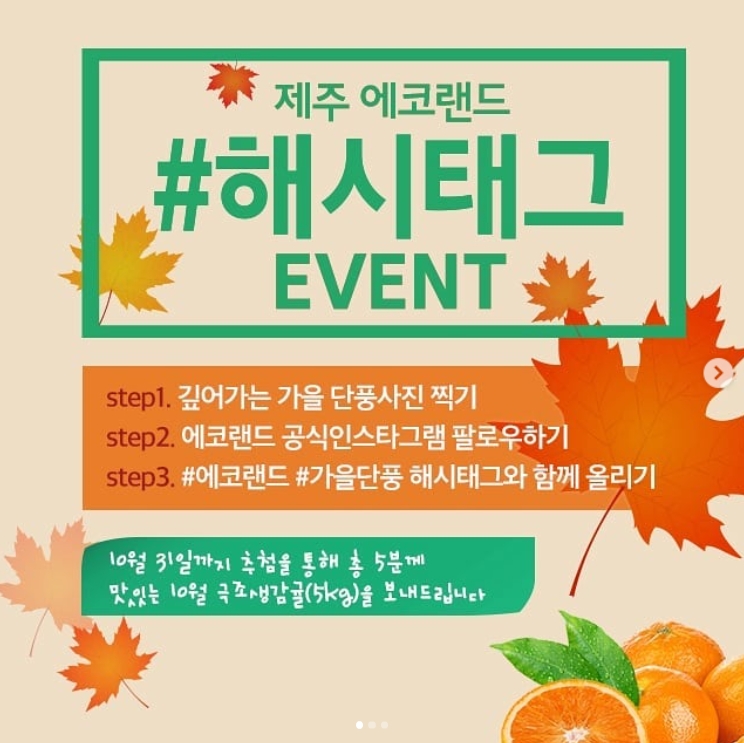 제주 에코랜드 해시태그 이벤트 타이틀이미지