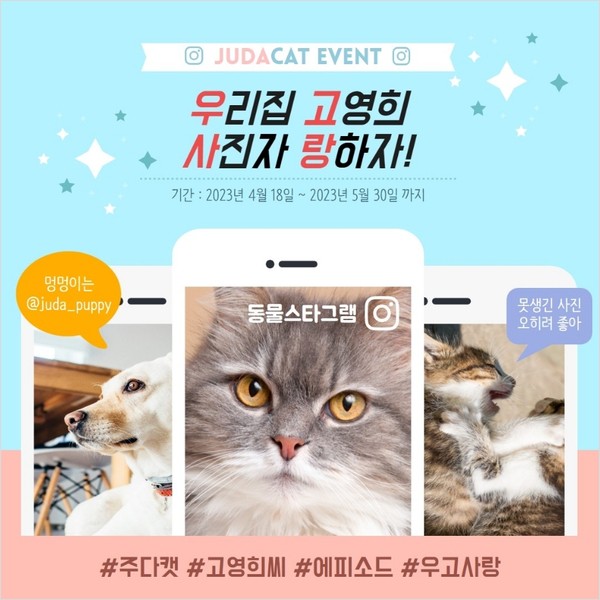 주다캣_우리집고양이사진자랑이벤트 타이틀이미지