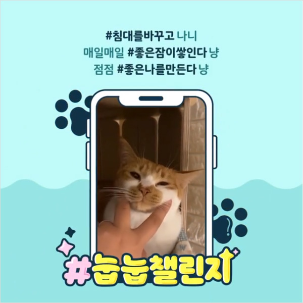 에이스침대_눕눕챌린지 타이틀이미지