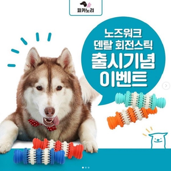 반려동물 덴탈 회전스틱 출시기념 이벤트 타이틀이미지