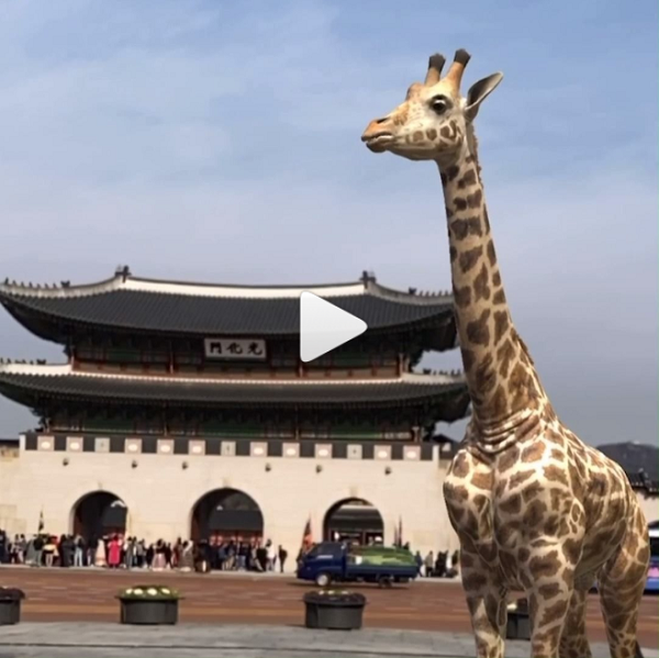 샹테카이_와일드뷰티_해시태그이벤트 타이틀이미지