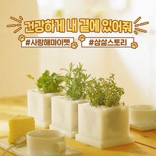 나의_반려동물_반려식물_함께하는행복한순간_인증샷이벤트 타이틀이미지